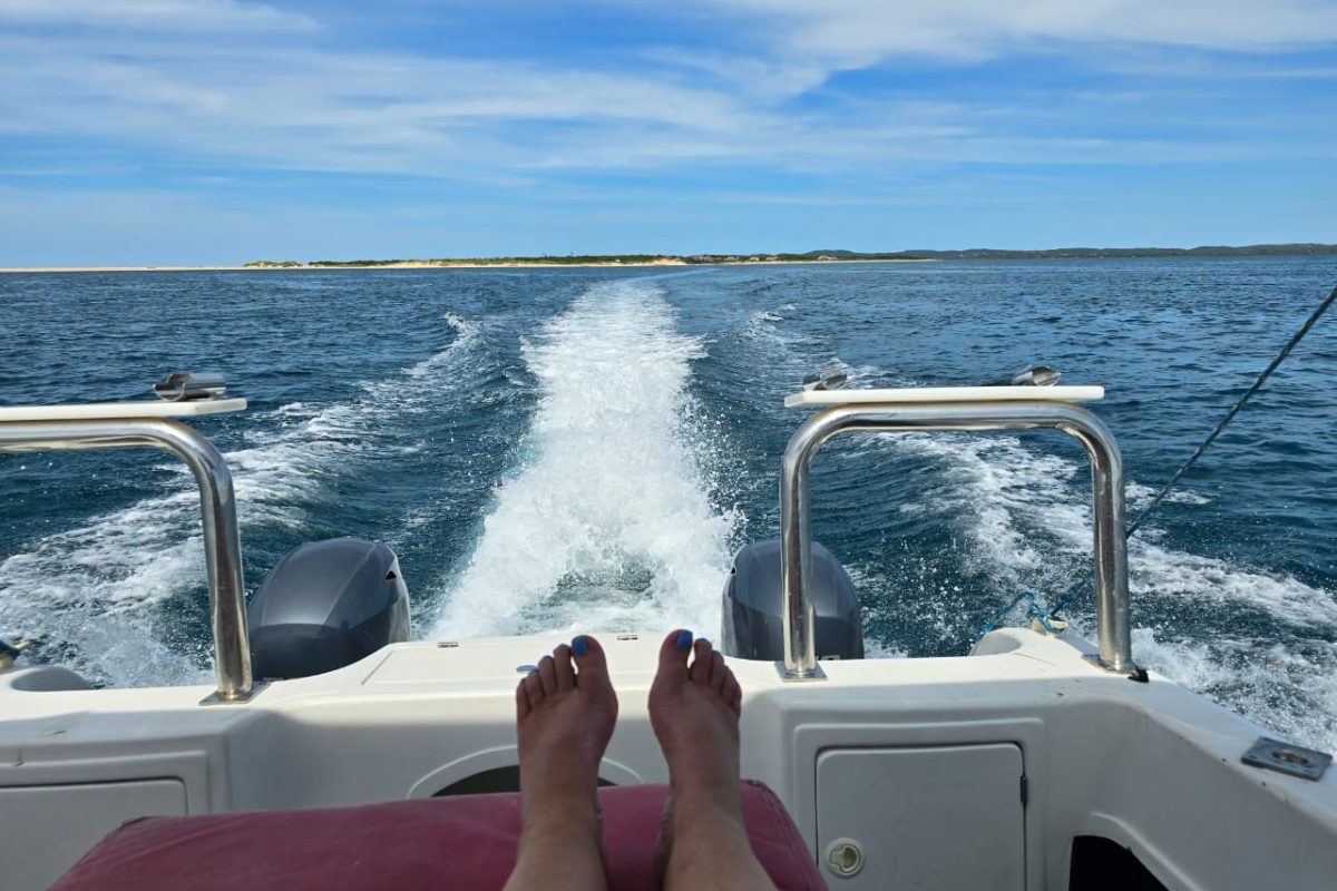 IMG-20240209-WA0026
